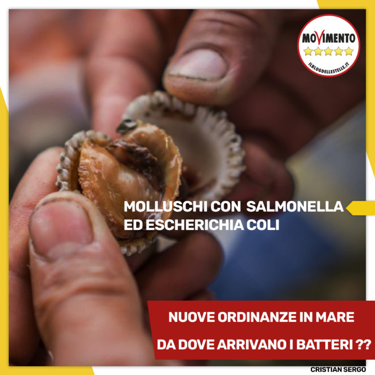 “Ancora molluschi vietati: Arpa trova salmonella nel depuratore di Lignano”