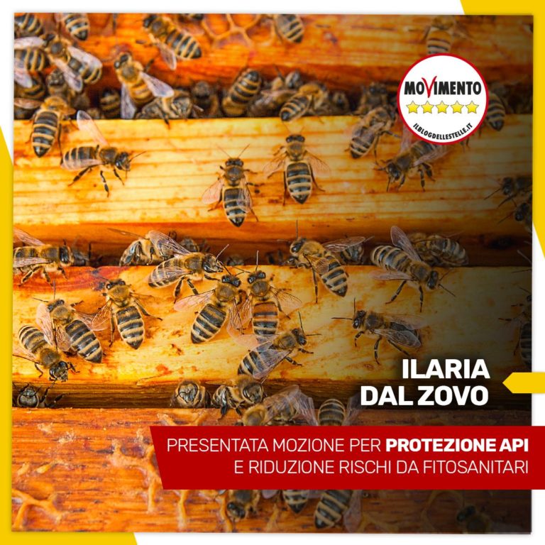 Mozione M5S per protezione api e riduzione rischi da fitosanitari