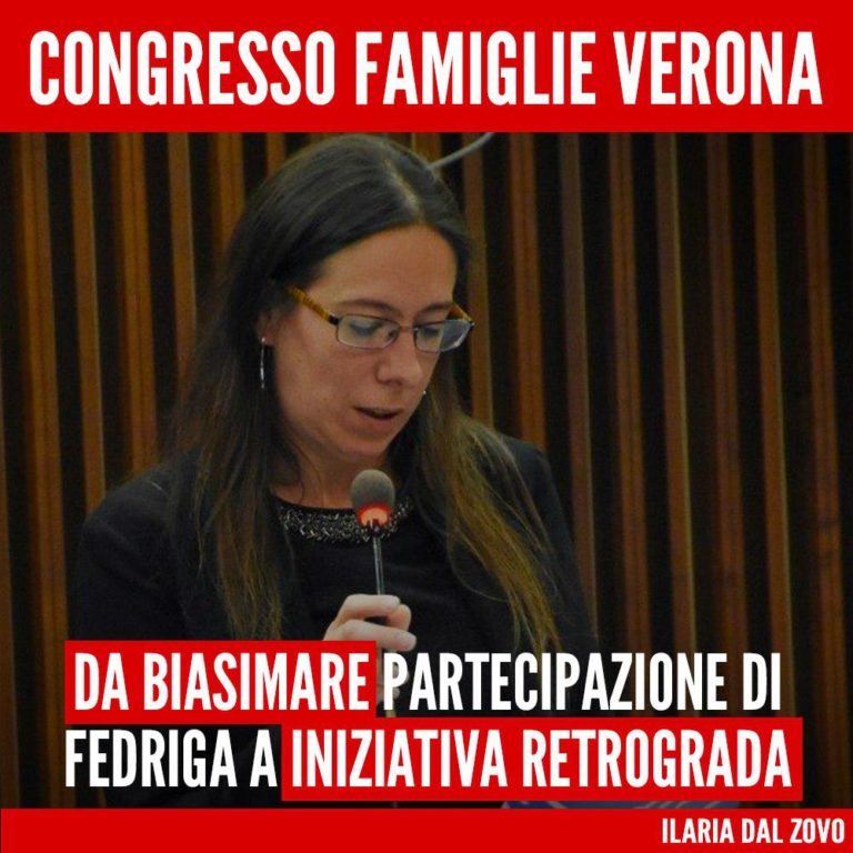 Fedriga al congresso famiglia da biasimare