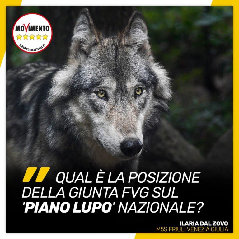 “Quale posizione della Giunta sul ‘Piano lupo’ nazionale?”