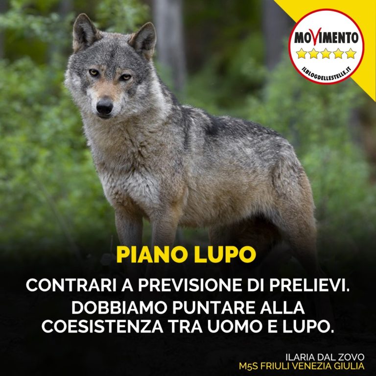 Piano lupo, contrari a previsione di prelievi