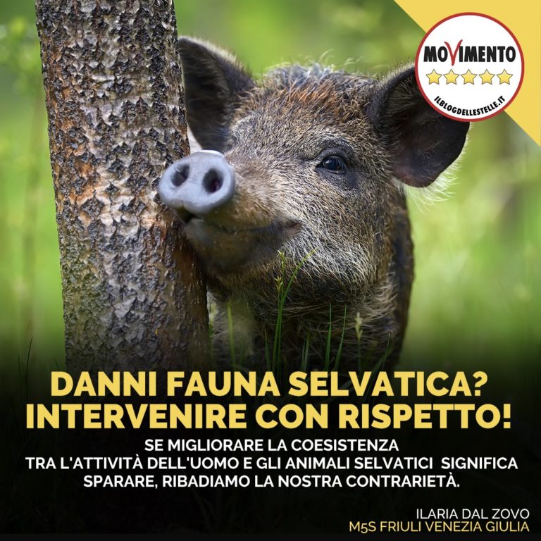 Danni fauna selvatica, intervenire con rispetto dell’ecosistema