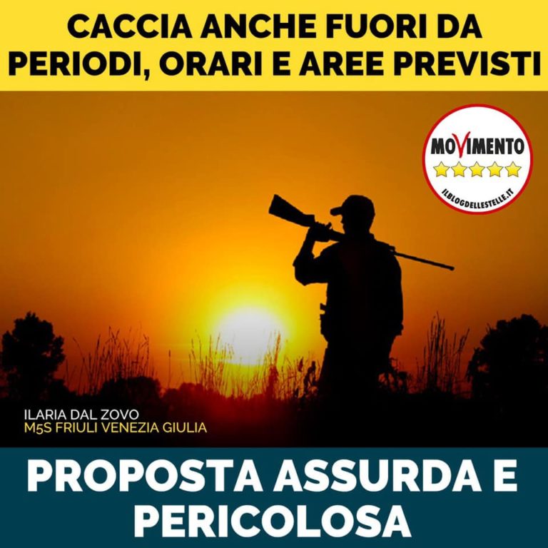 Proposta modifica legge caccia assurda e pericolosa