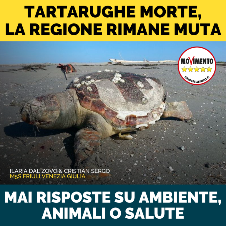 Tartarughe morte, la Regione si mette il bavaglio