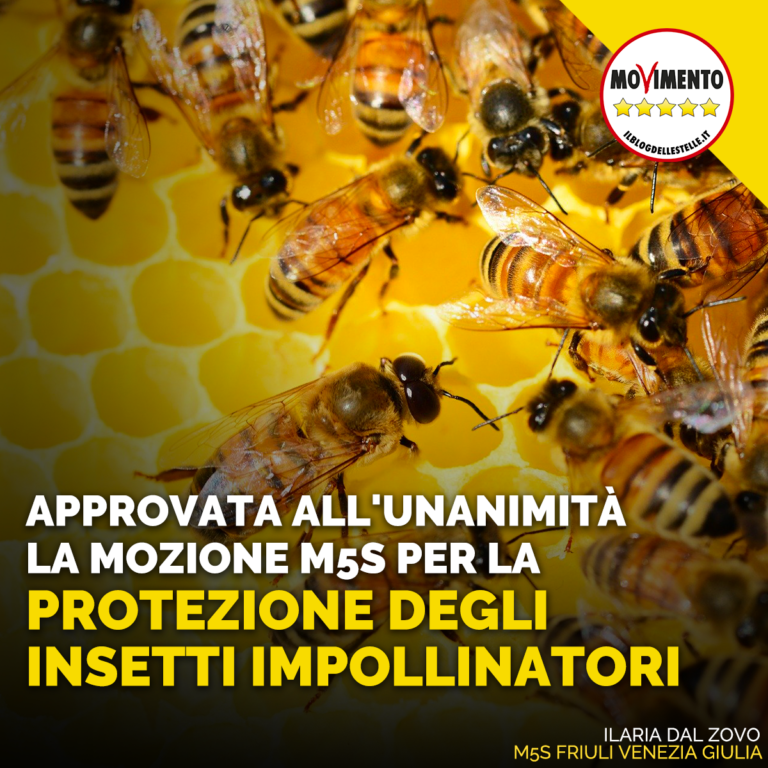 Approvata all’unanimità mozione M5S per protezione insetti impollinatori