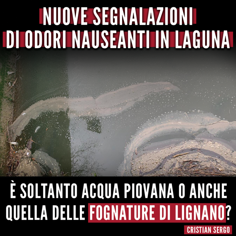 Nuove segnalazioni di odori nauseanti in Laguna