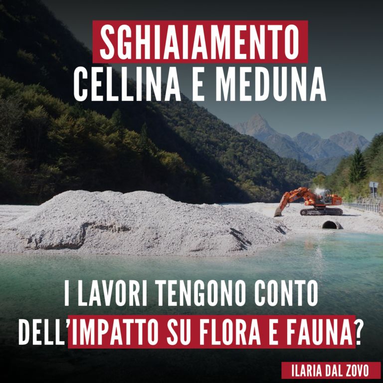 Sghiaiamento Cellina e Meduna, attenzione a effetti su ambiente