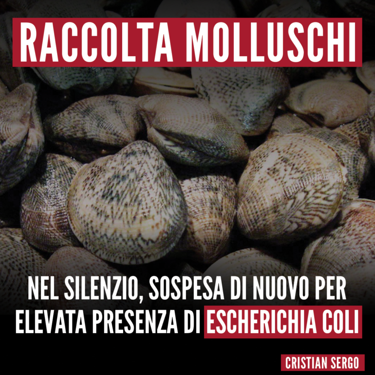 Raccolta molluschi, ancora sospensioni ma nessuna risposta