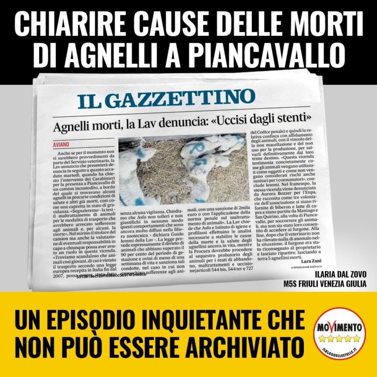 Chiarire cause delle morti di agnelli a Piancavallo