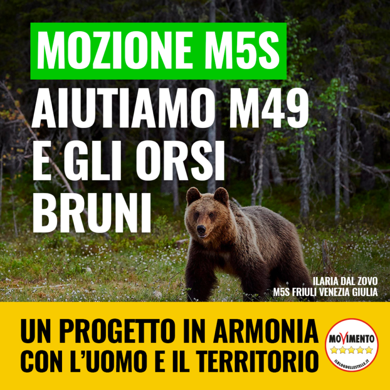 Mozione M5S per l’orso M49 in FVG