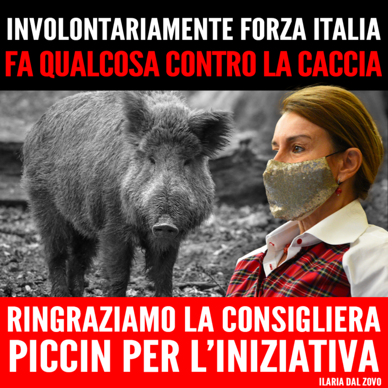 Peste suina, la Giunta conferma che la caccia non è la soluzione