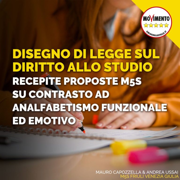 Ddl diritto studio, bene attenzione ad analfabetismo funzionale