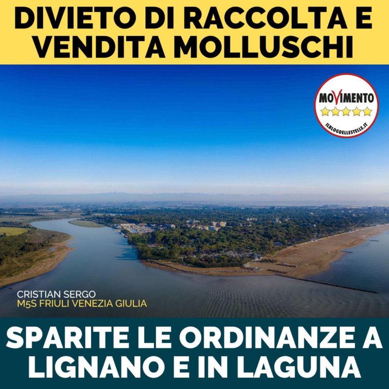 Sparite le ordinanze sui molluschi a Lignano e in Laguna: miracolo?