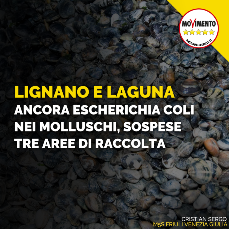 Nessun miracolo in Laguna, sospese tre aree di raccolta di molluschi