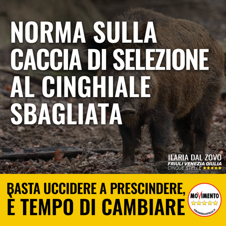 Caccia, norma su cinghiali a rischio impugnativa