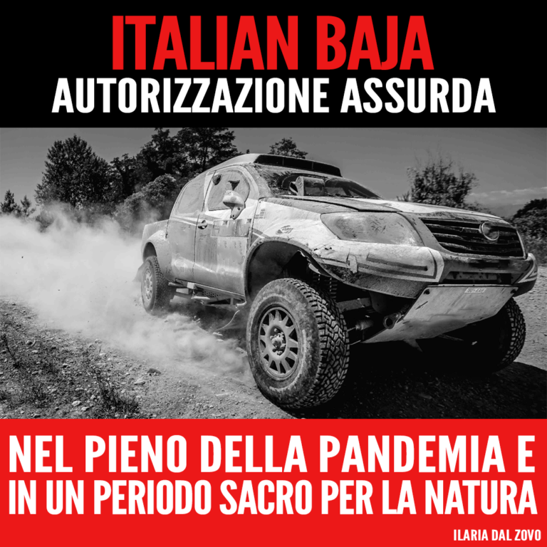 Assurda e incomprensibile autorizzazione a Italian Baja