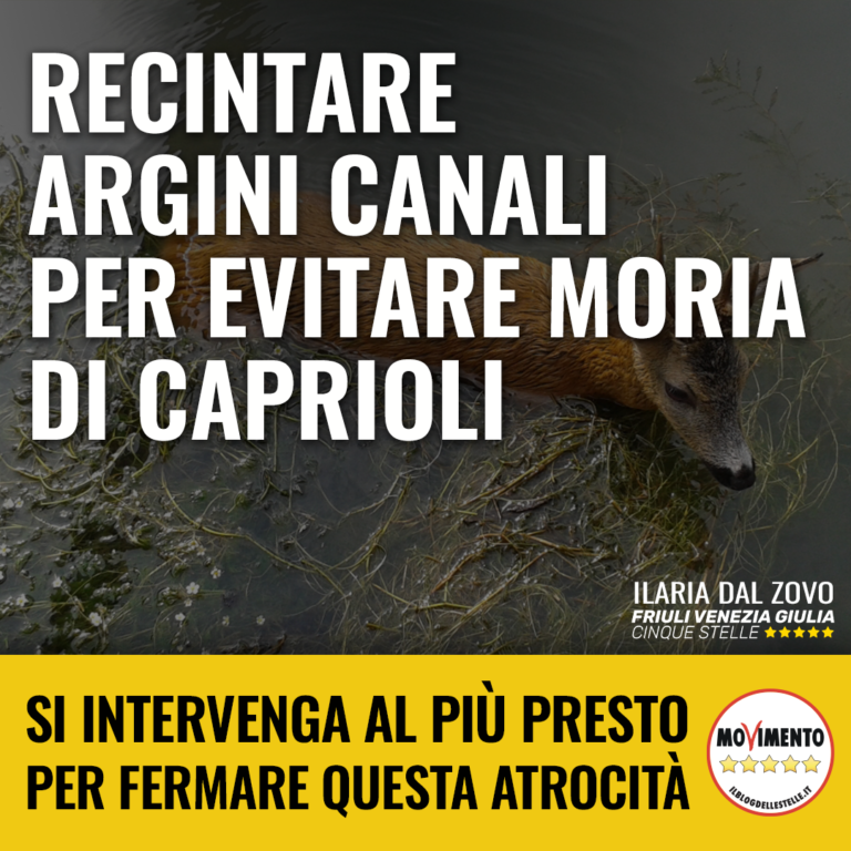 Recintare argini canali per evitare moria di caprioli