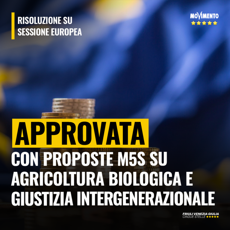 Voto favorevole M5S a risoluzione Sessione europea