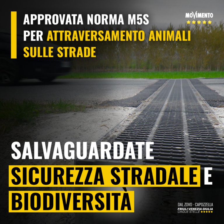 Approvata norma M5S per attraversamento animali sulle strade