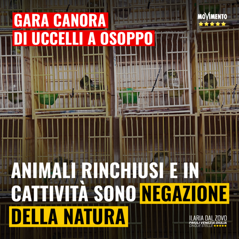 Gara canora di uccelli è negazione della natura