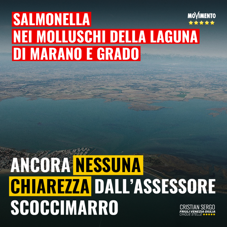 Ancora nessuna chiarezza su salmonella in Laguna