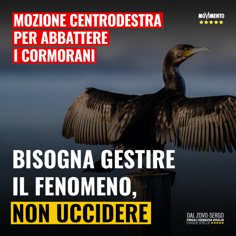 Contenimento cormorani, centrodestra pensa solo a sparare