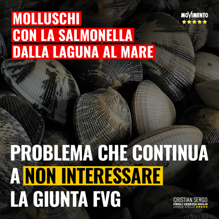 Salmonella indisturbata dalla laguna raggiunge il mare