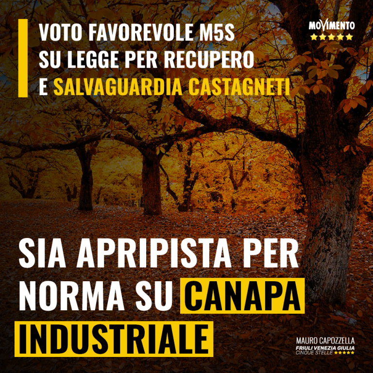 M5S a favore della legge sui castagneti: “Sia apripista per norma su canapa industriale”