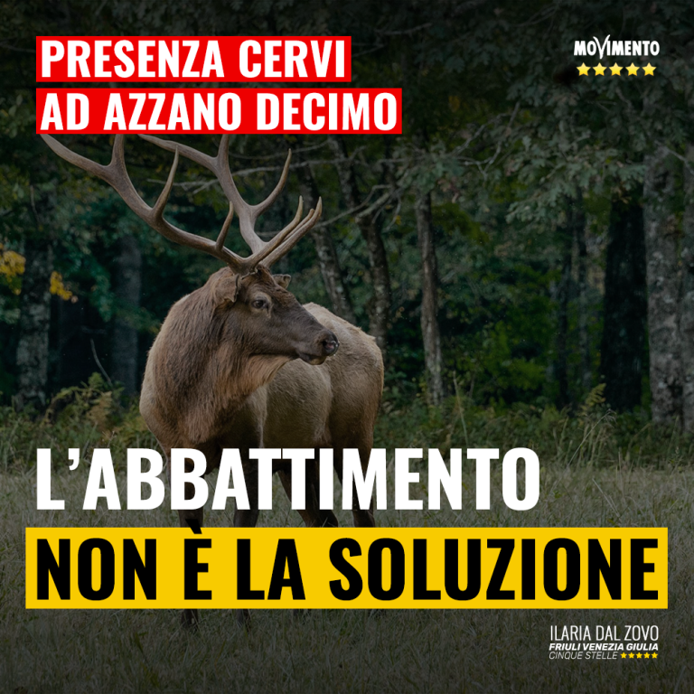 Cervi ad Azzano, abbattimento non è soluzione