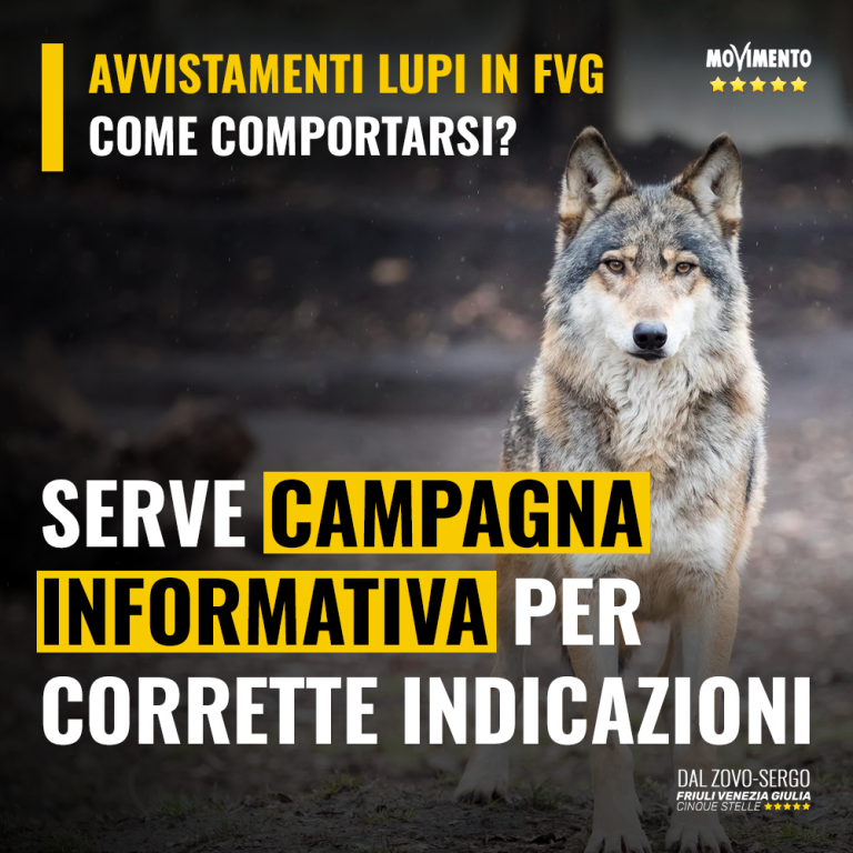 Campagna informativa su presenza lupo