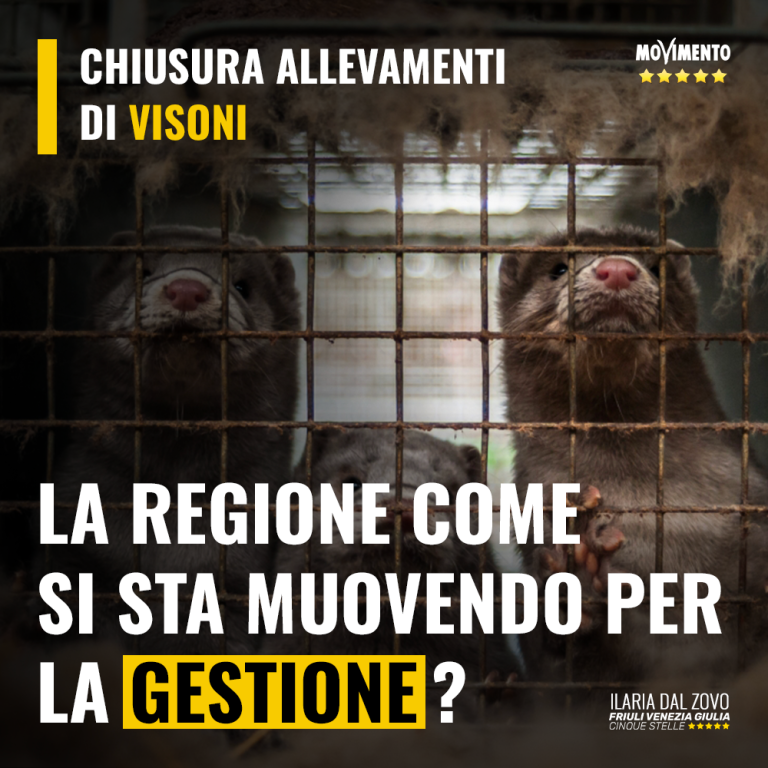 Chiusura allevamenti animali da pelliccia, Regione si sta muovendo?