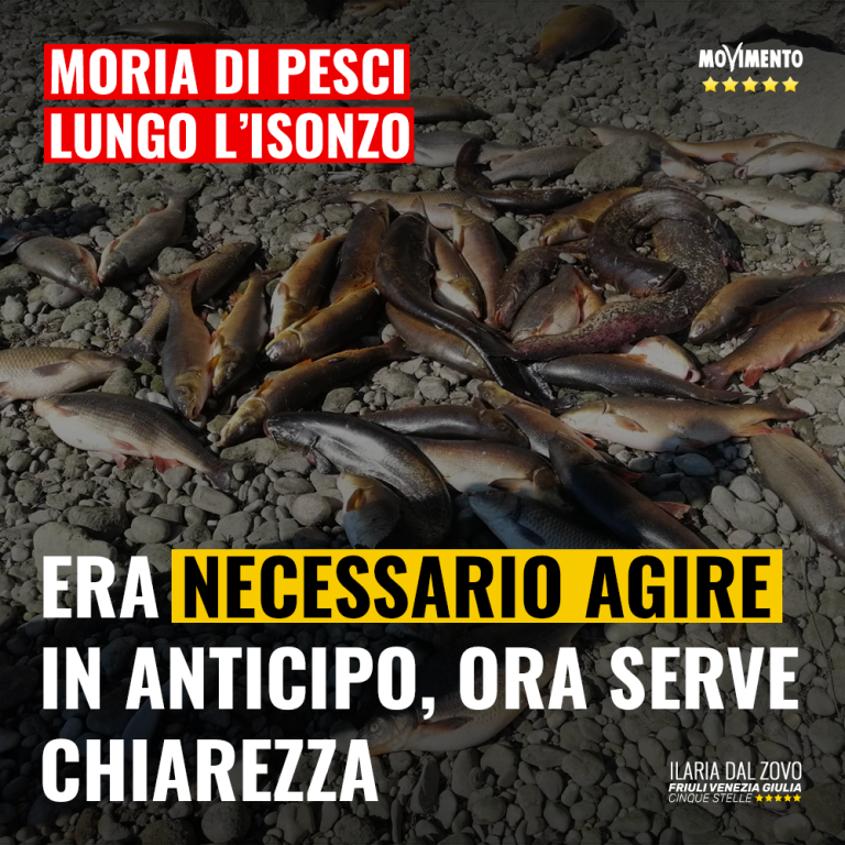 Chiarezza su moria di pesci nell’Isonzo