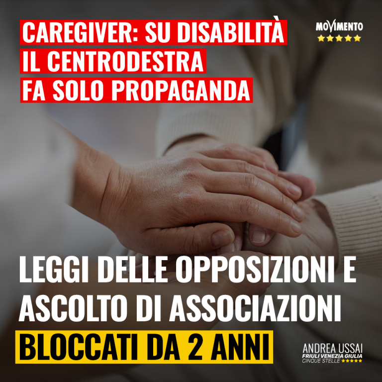 Su disabilità centrodestra fa solo propaganda