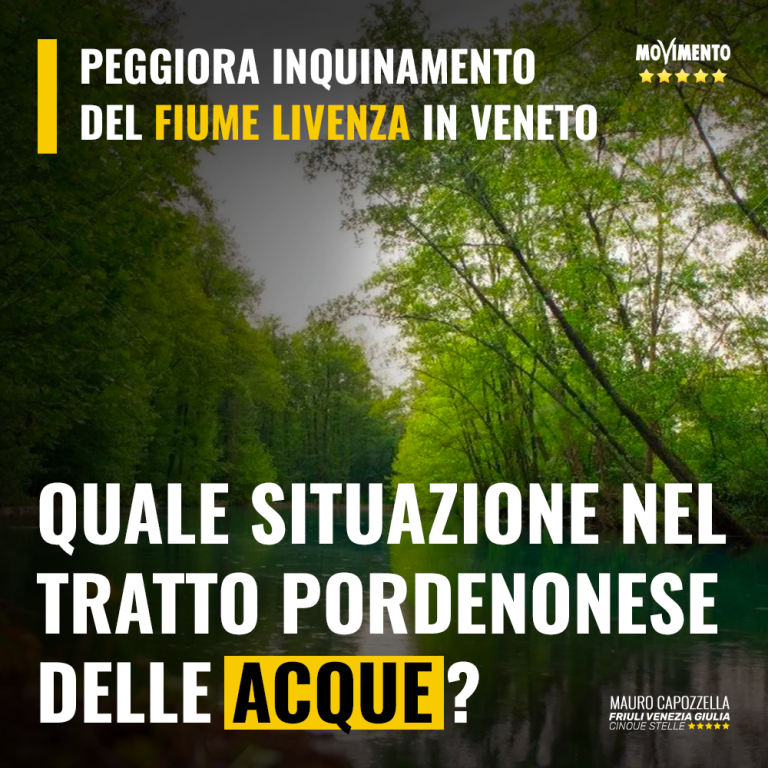 Qual è la situazione delle acque nel tratto pordenonese del Livenza?