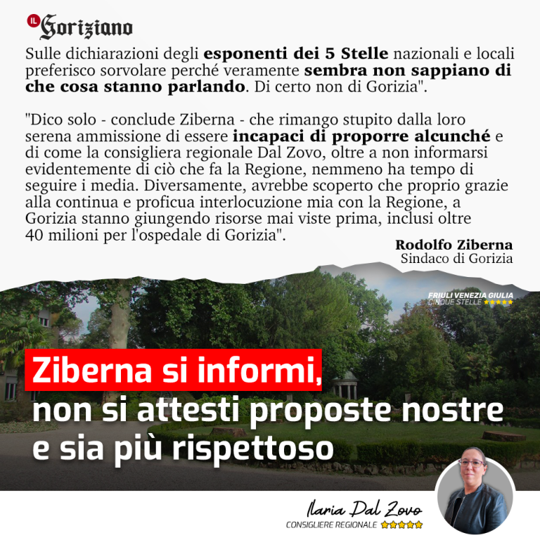 Ziberna si informi e non si attesti proposte nostre