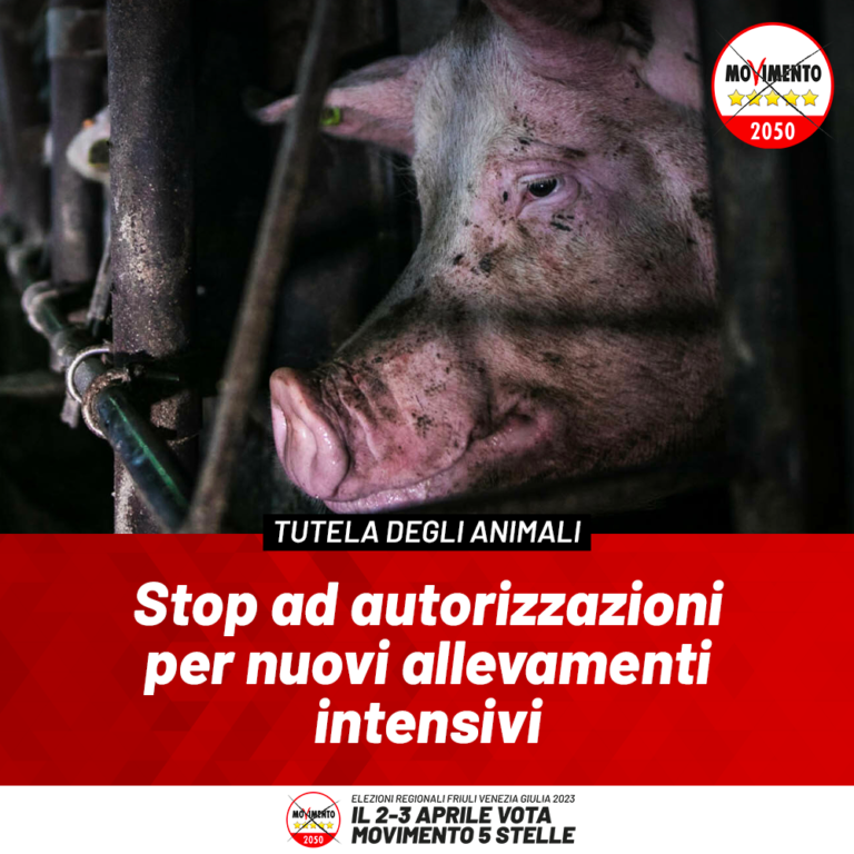 Stop ad autorizzazioni per nuovi allevamenti intensivi