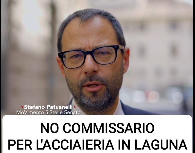 Patuanelli – Capozzi: “Il Commissario per gli investimenti esteri sancisce l’incapacità del centrodestra”