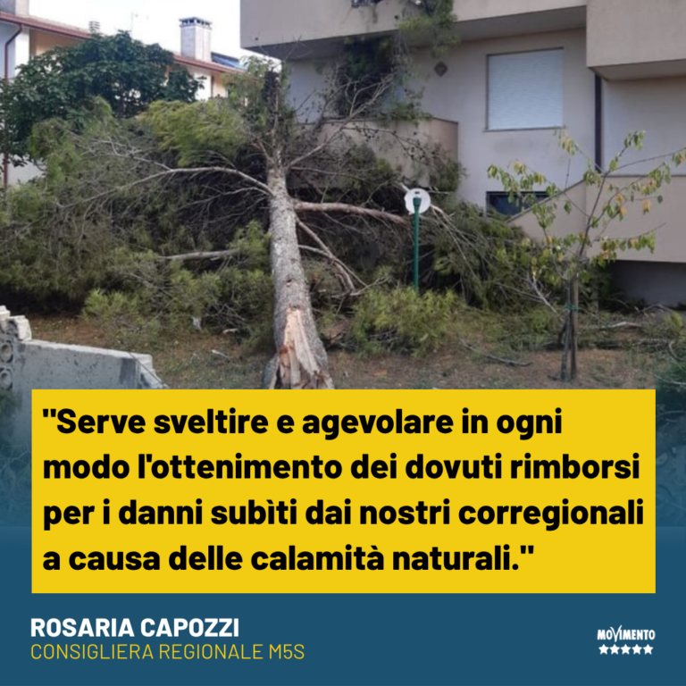 Maltempo, Capozzi (M5S): “Allargare modalità per ottenere rimborsi”