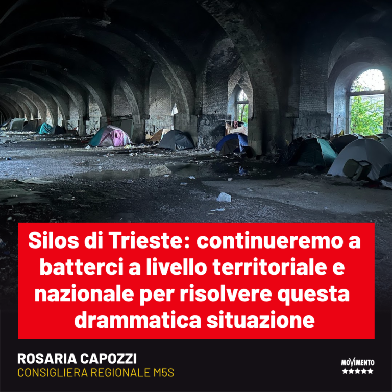 Migranti, Capozzi (M5S): Situazione inaccettabile al Silos di Trieste