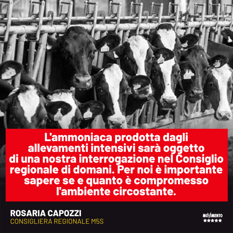 Capozzi: Limitare le emissioni di ammoniaca da allevamenti