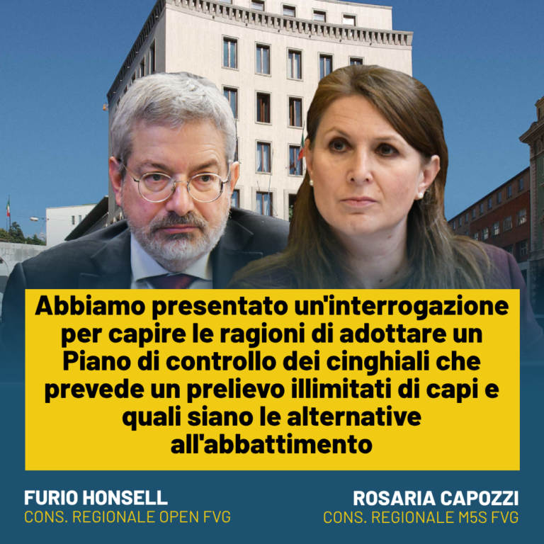 Fauna, Capozzi (M5S) e Honsell (Open): Interrogazione gestione cinghiali