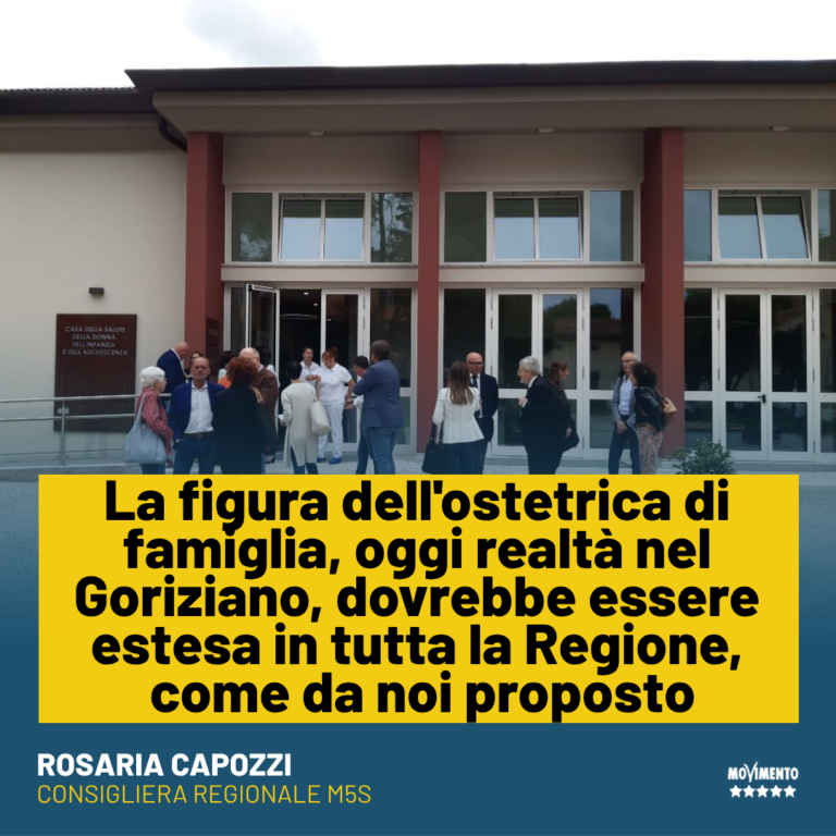 Sanità, Capozzi: Estendere la sperimentazione delle ostetriche di famiglia in tutta la Regione