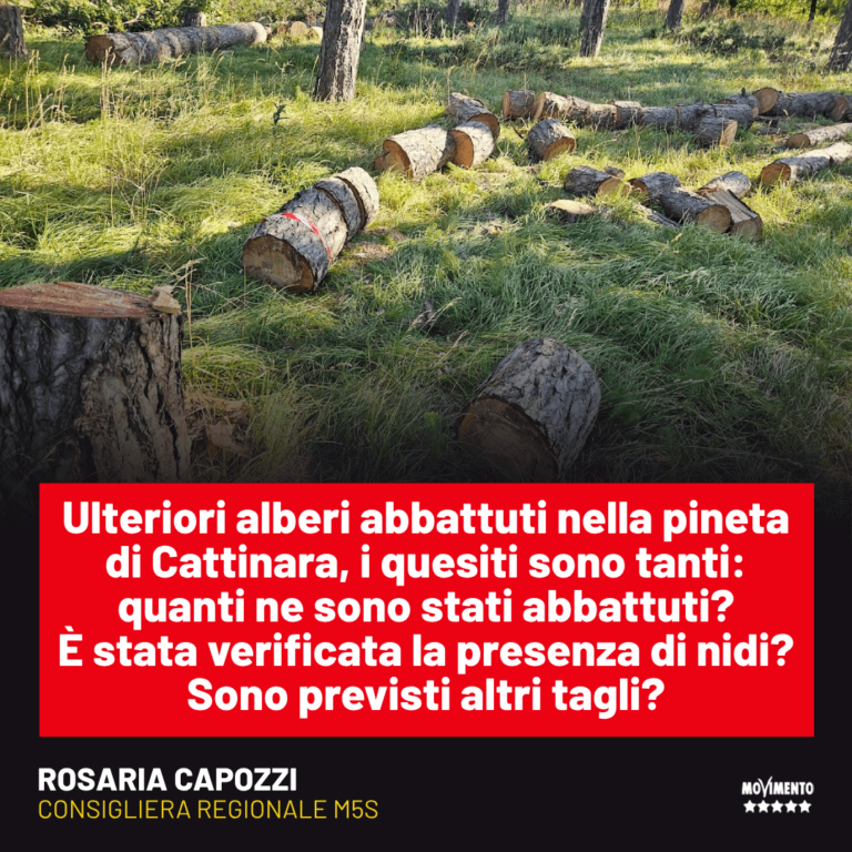 Ambiente, Capozzi: Continua abbattimento alberi a Cattinara