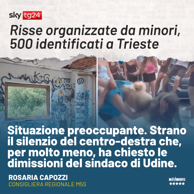 Sicurezza, Capozzi: Preoccupano violenza dei giovani e silenzio del centro-destra