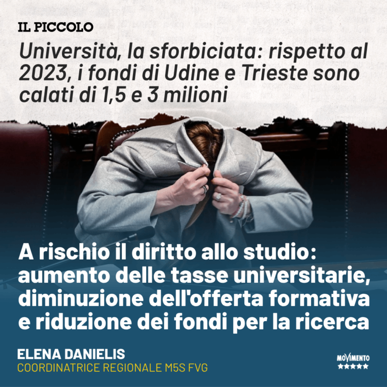 Università, Danielis e referenti giovani: Per il Governo, Università e ricerca non sono tra le priorità