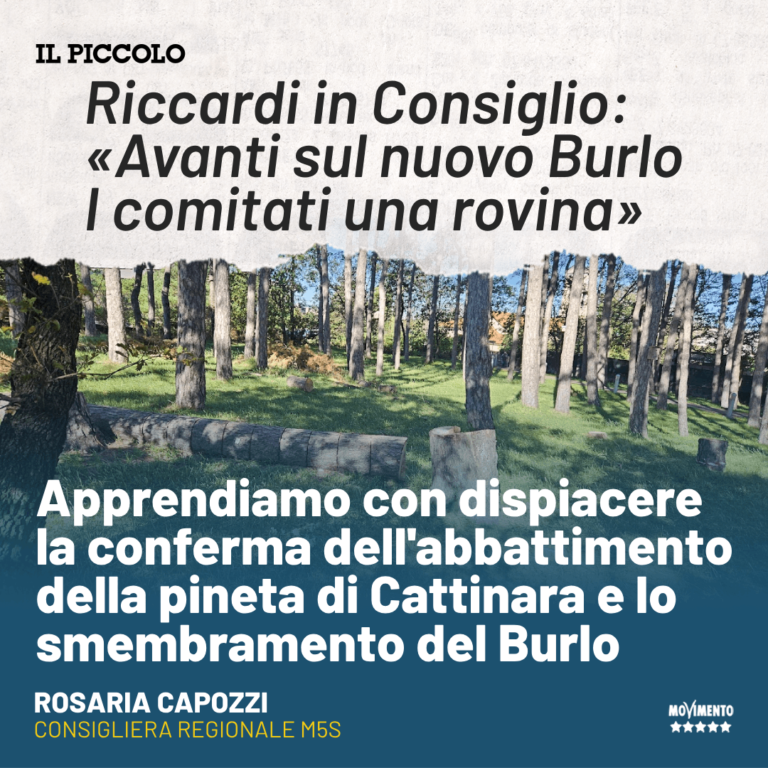 Sanità, Capozzi: Salvare pineta di Cattinara e non svuotare il Burlo