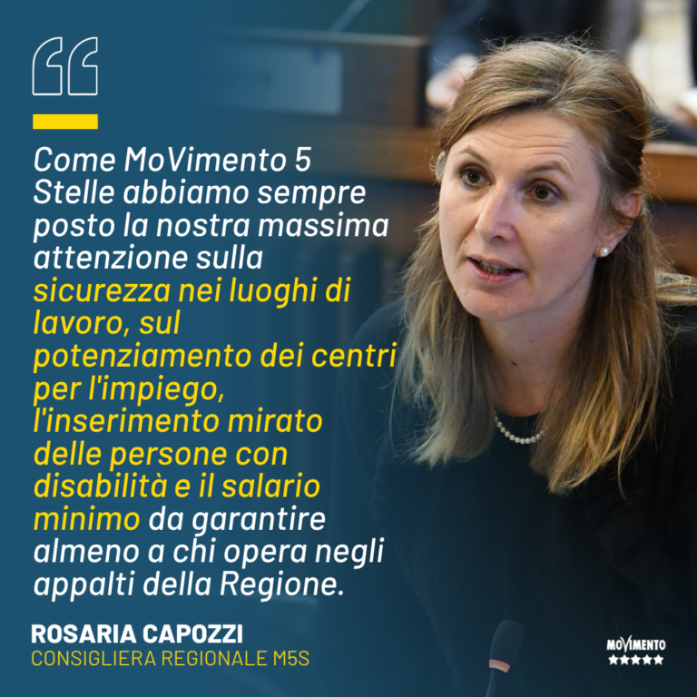 Lavoro, Capozzi: Massima attenzione su diritti disabili, sicurezza e salario minimo