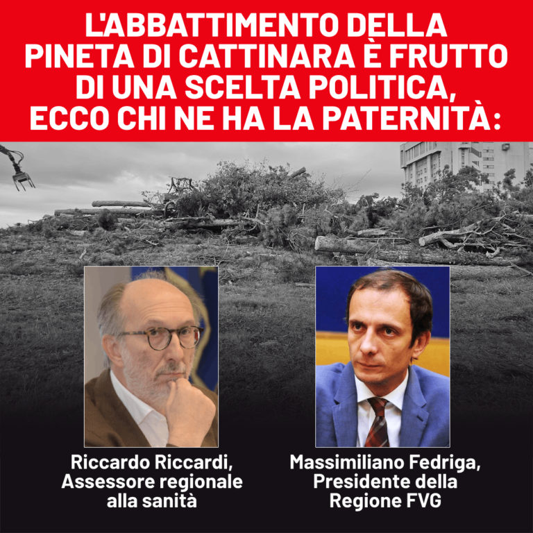 Pineta Cattinara, Capozzi e Richetti: inutili 10.000 firme, via 400 alberi