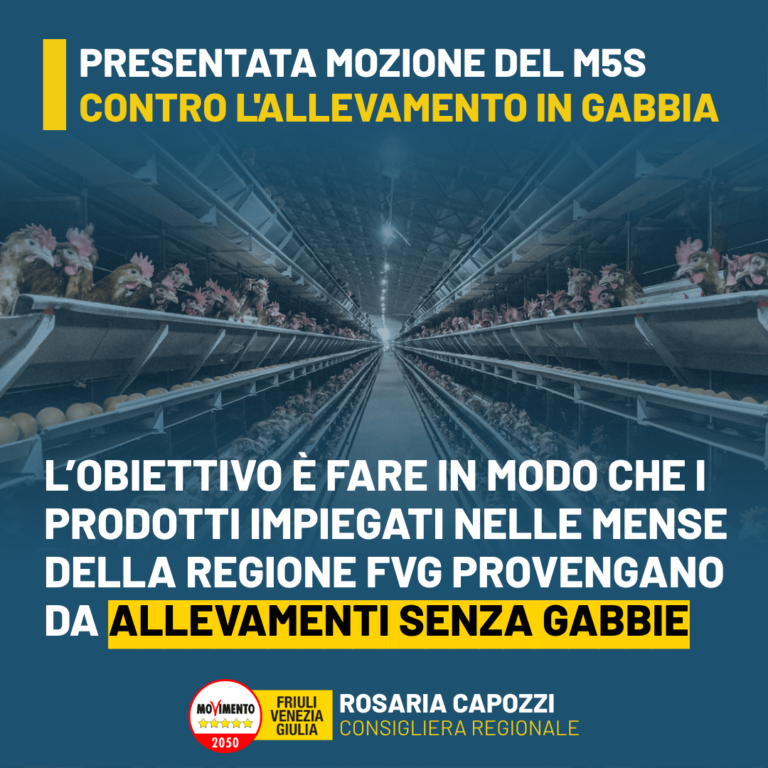 Animali, Capozzi (M5S) e Pluda (HSI): Presentata mozione contro allevamenti in gabbia